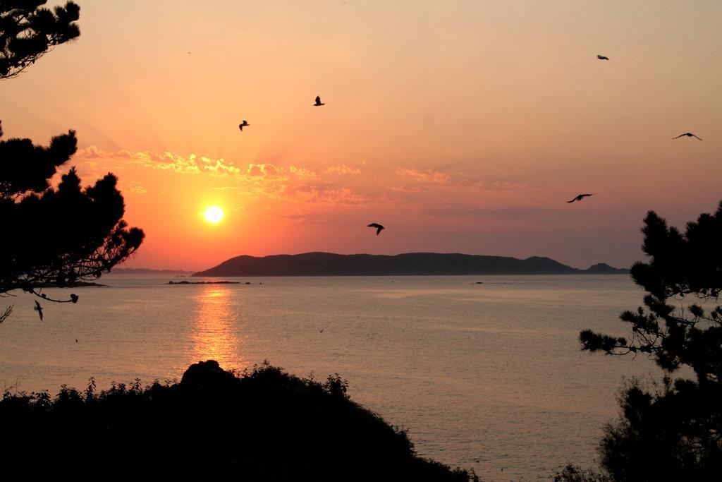 Les Terrasses De La Plage De Trestel Trévou-Tréguignec Buitenkant foto